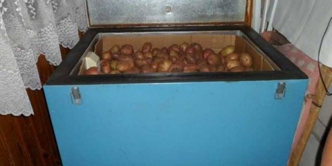 Kako napraviti kutiju za odlaganje krompira zimi